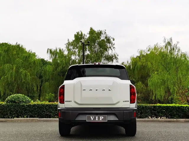 Haval Cool Dog — Фото автомобиля 5