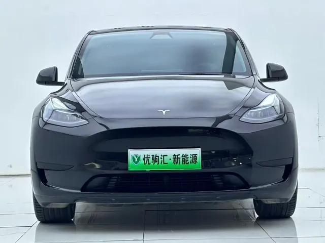 Tesla Model Y — Фото автомобиля 3