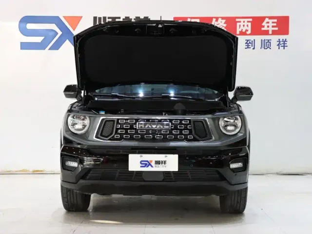 Haval Big Dog — Фото автомобиля 18