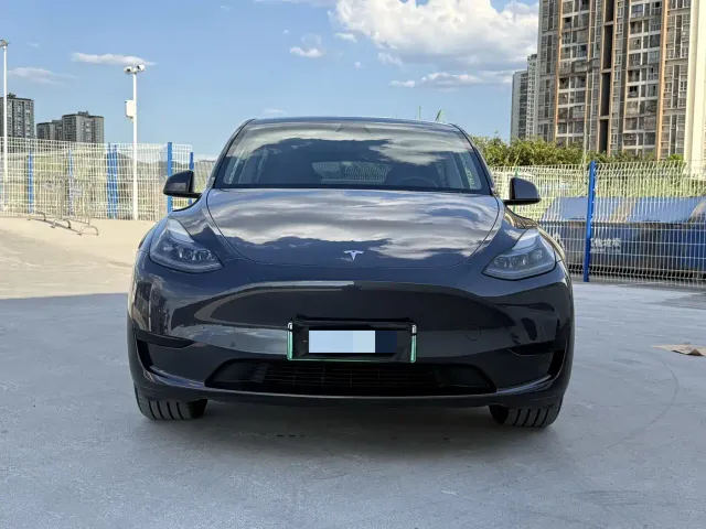 Tesla Model Y — Фото автомобиля 2