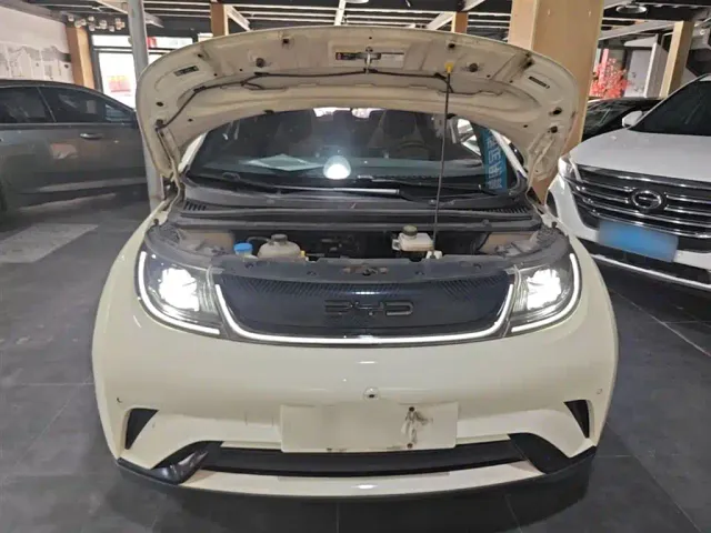 BYD Dolphin — Фото автомобиля 19