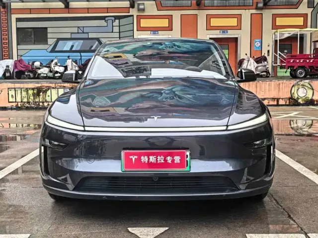 Tesla Model Y — Фото автомобиля 2