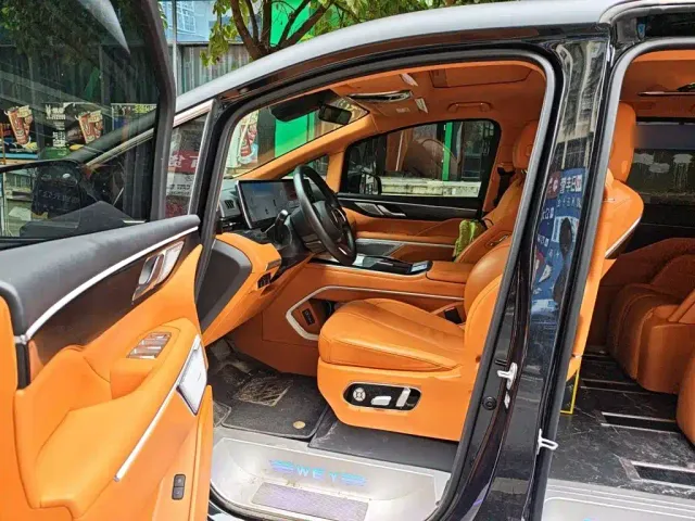 Wey Alpine — Фото автомобиля 11