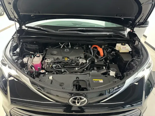 Toyota Sienna — Фото автомобиля 18