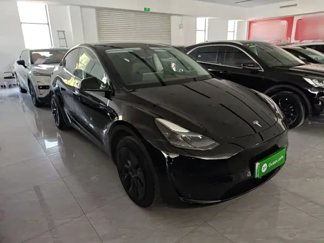 Tesla Model Y — Фото автомобиля 3