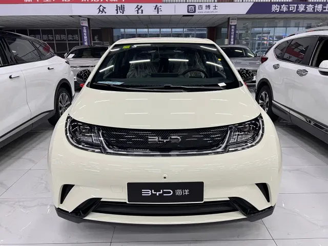 BYD Dolphin — Фото автомобиля 2