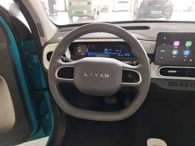Livan Ruilan Blue Elf — Фото автомобиля 10