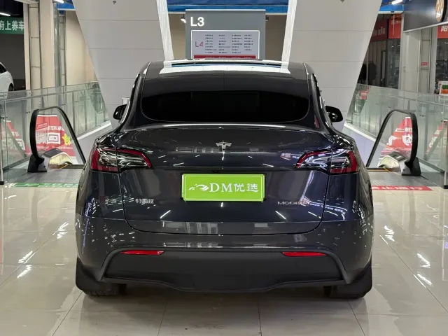 Tesla Model Y — Фото автомобиля 8