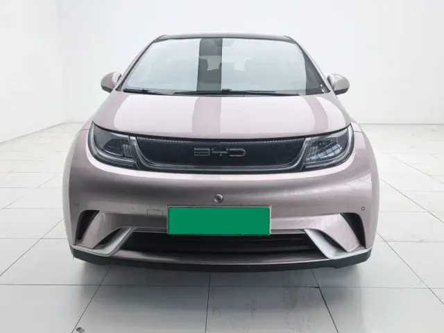 Фотография автомобиля — BYD Dolphin