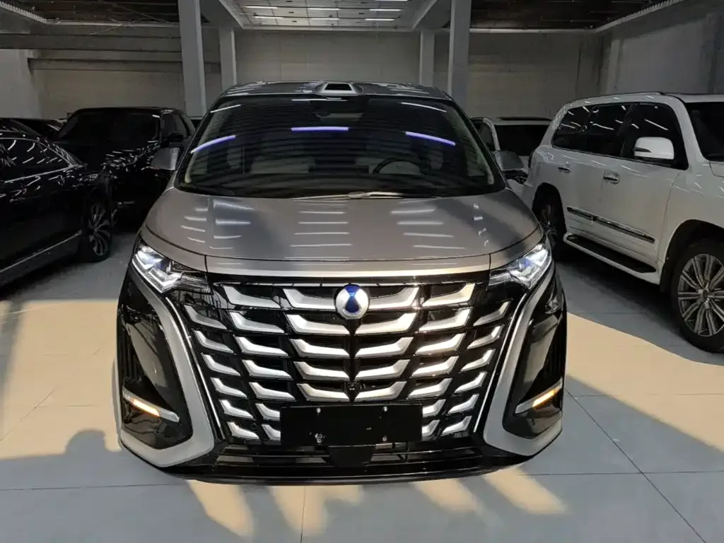 Denza Denza D9 2025 DM-i Smart Drive Edition 1020 AWD Luxury — Фото автомобиля 2