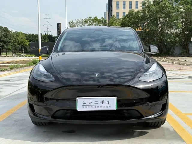 Tesla Model Y — Фото автомобиля 2