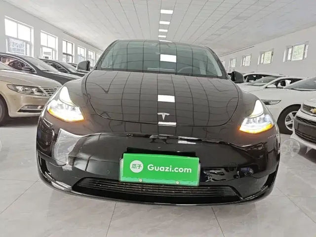 Tesla Model Y — Фото автомобиля 2