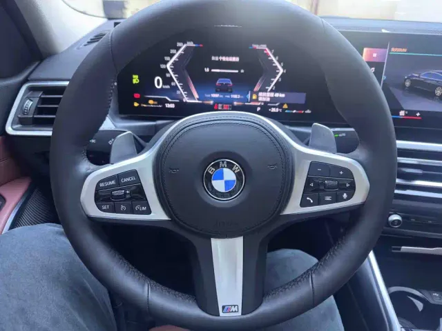 BMW 3 Series — Фото автомобиля 13