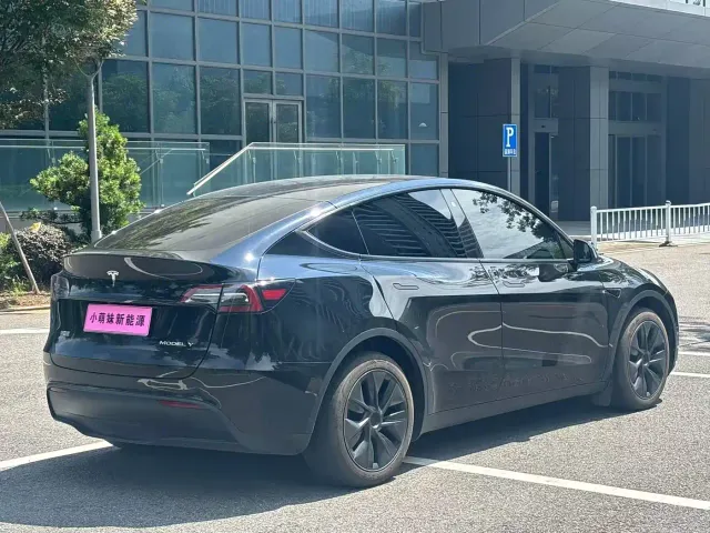 Tesla Model Y — Фото автомобиля 20