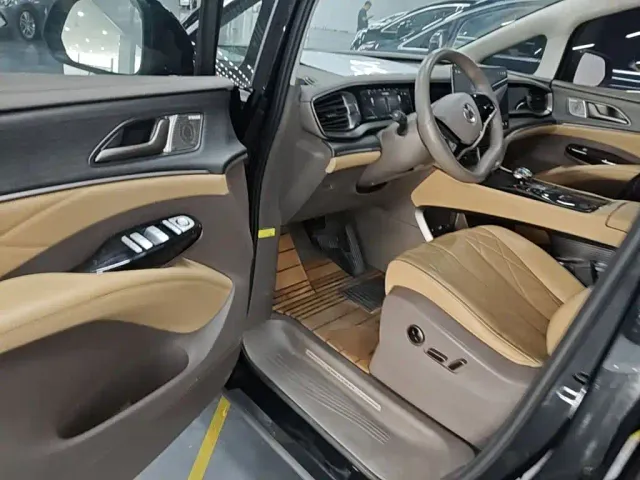 Denza D9 — Фото автомобиля 15