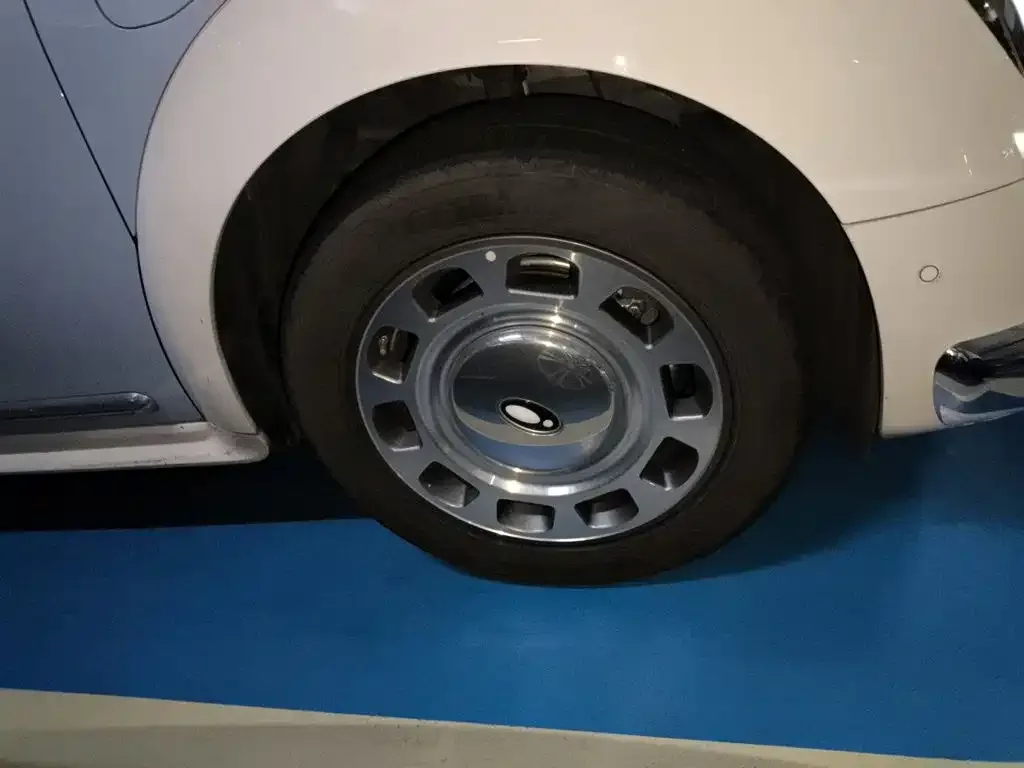 Ora Ora Ballet Cat 2022 401km Nutcracker Edition — Фото автомобиля 8
