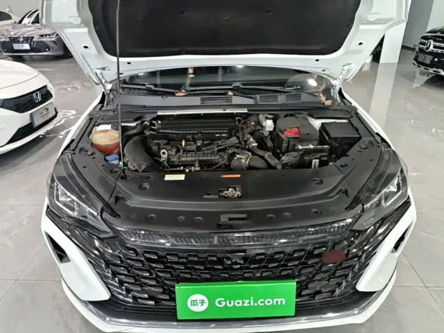 Dongfeng Yixuan MAX — Фото автомобиля 19