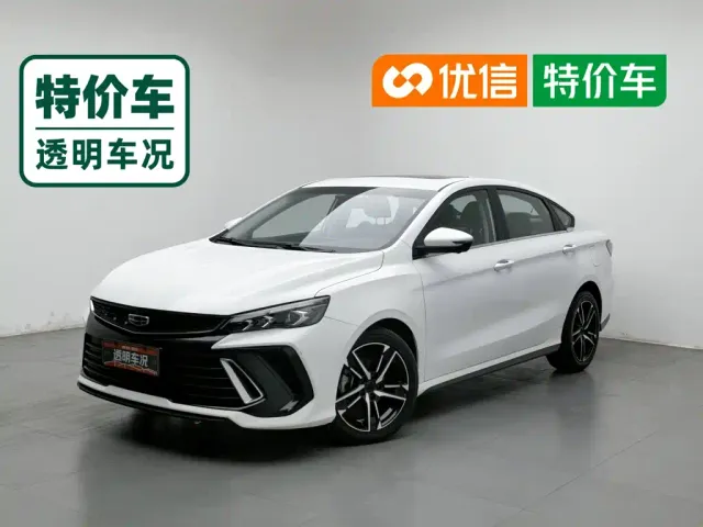 Фотография автомобиля — Geely Binrui