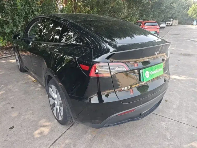 Tesla Model Y — Фото автомобиля 4