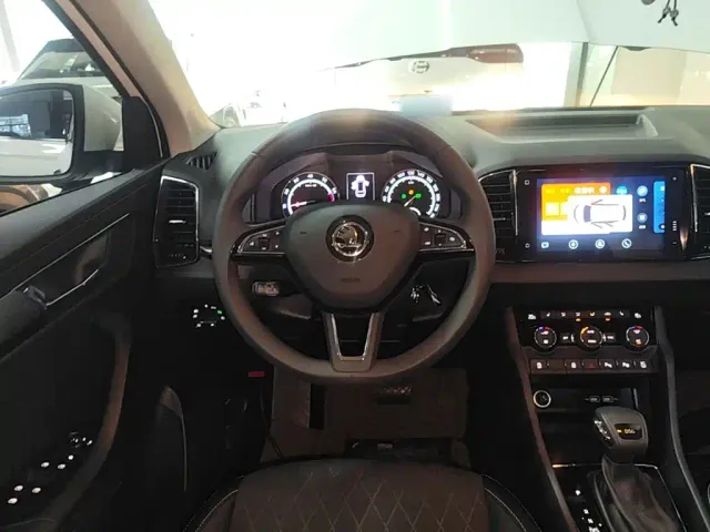 Skoda Karoq — Фото автомобиля 10