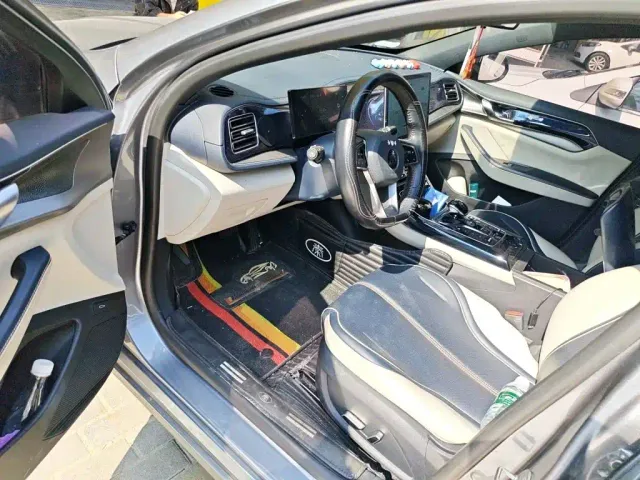 BYD Qin PLUS — Фото автомобиля 12