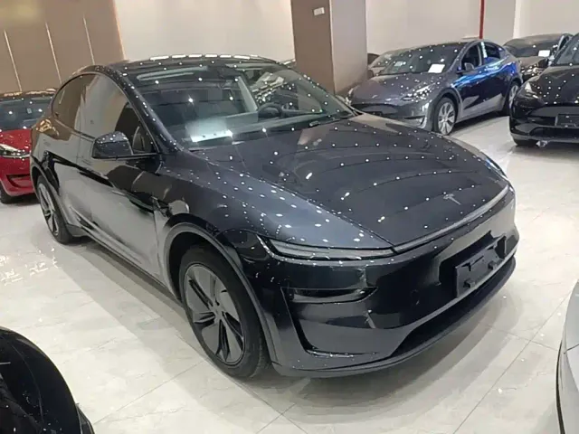 Tesla Model Y — Фото автомобиля 3