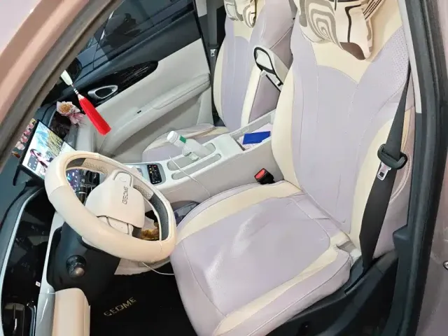 Geely Starry Wish — Фото автомобиля 11