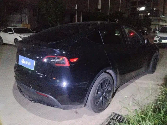 Tesla Model Y — Фото автомобиля 3