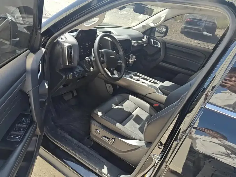 Haval Haval Big Dog 2024 2.0T DCT Chinese Rural Dog Edition — Фото автомобиля 9
