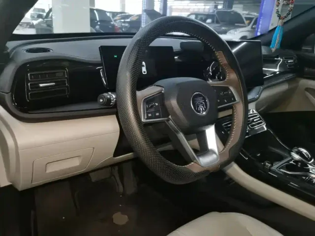 BYD Qin PLUS — Фото автомобиля 9