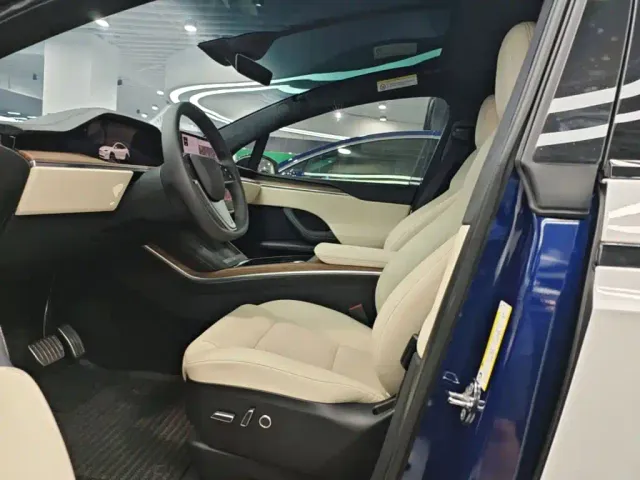 Tesla Model X — Фото автомобиля 10