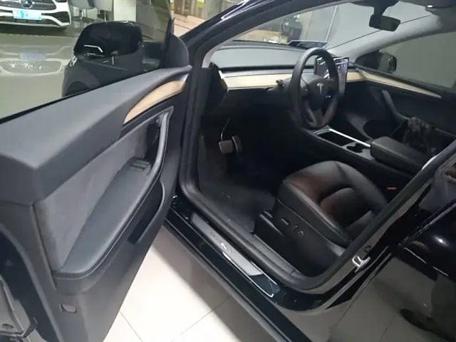 Tesla Model Y — Фото автомобиля 10