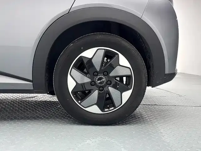 BYD Dolphin — Фото автомобиля 18