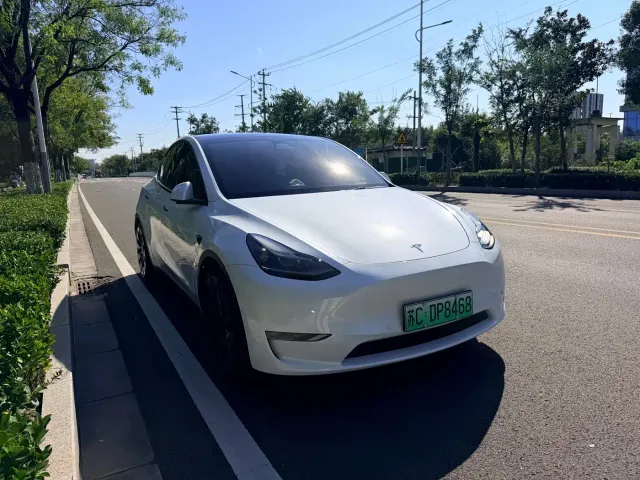 Tesla Model Y — Фото автомобиля 3
