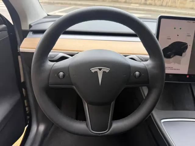 Tesla Model Y — Фото автомобиля 9