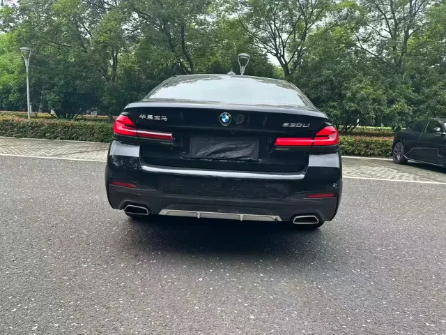BMW 5 Series — Фото автомобиля 8