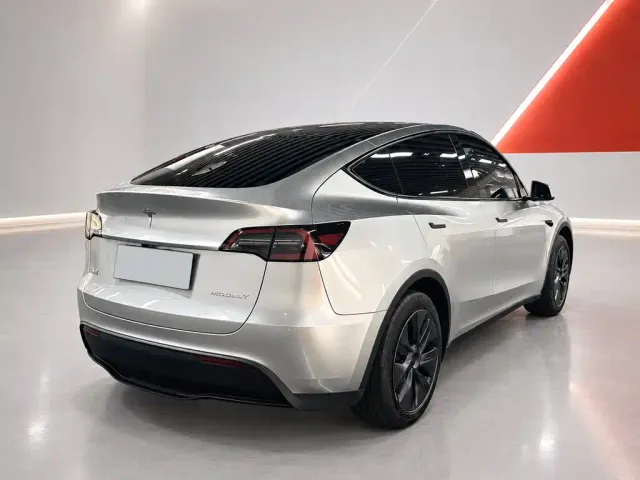 Tesla Model Y — Фото автомобиля 6