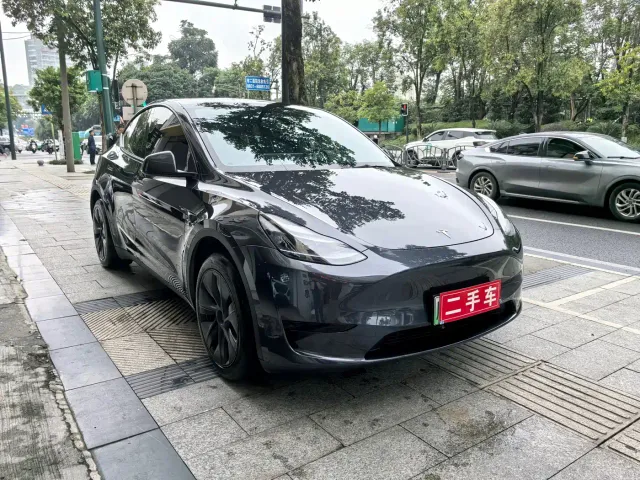 Tesla Model Y — Фото автомобиля 2