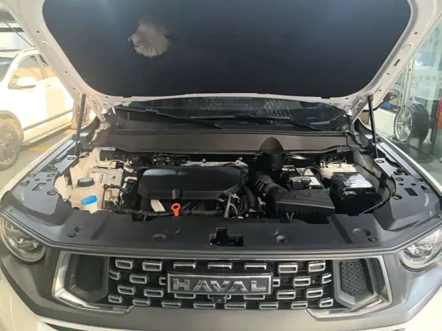 Haval Big Dog — Фото автомобиля 19