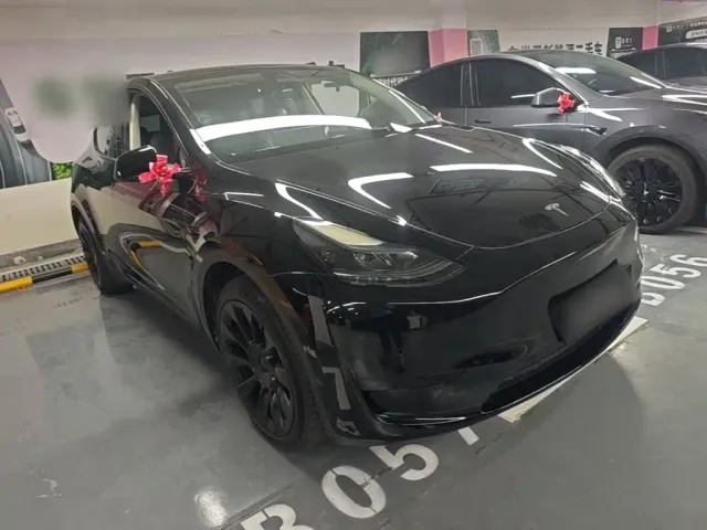 Tesla Model Y — Фото автомобиля 3