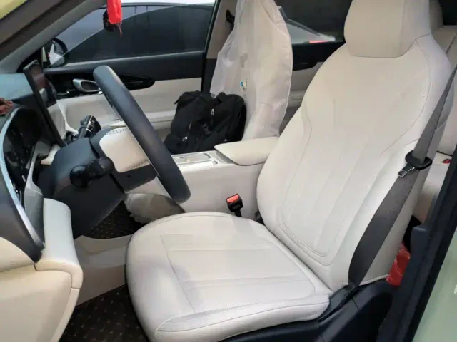 Geely Starry Wish — Фото автомобиля 16