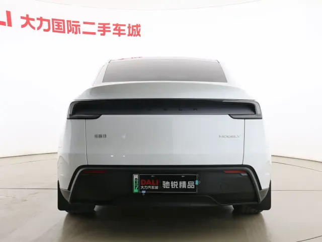 Tesla Model Y — Фото автомобиля 8