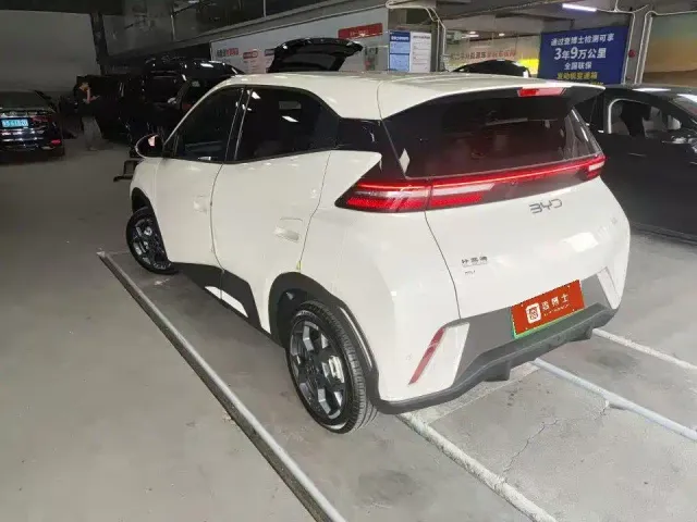 BYD Seagull — Фото автомобиля 4