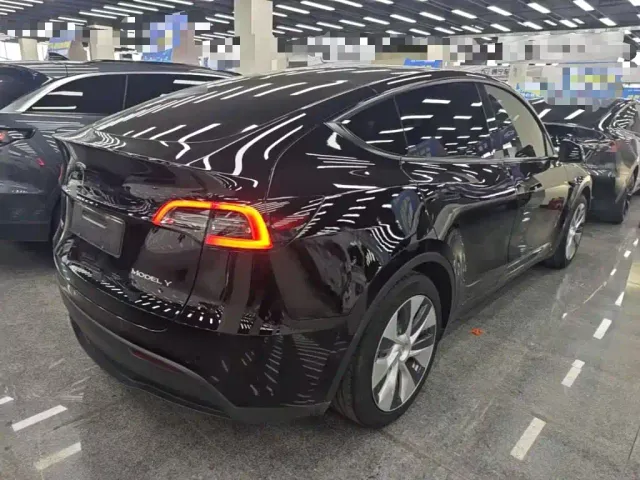 Tesla Model Y — Фото автомобиля 6