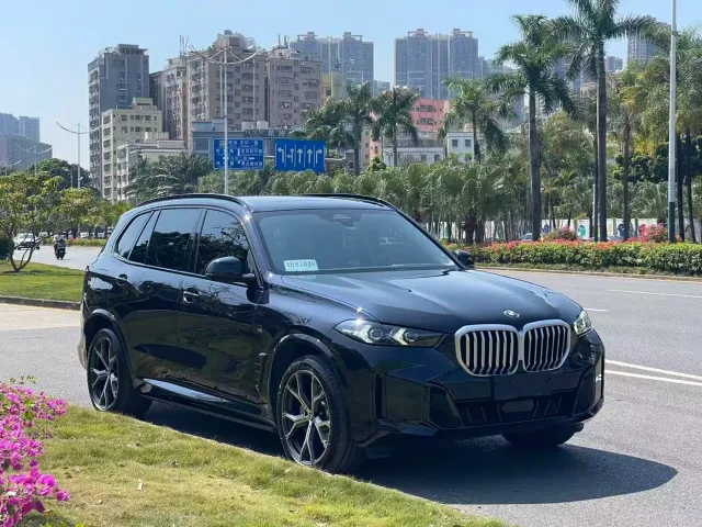 BMW X5 — Фото автомобиля 2