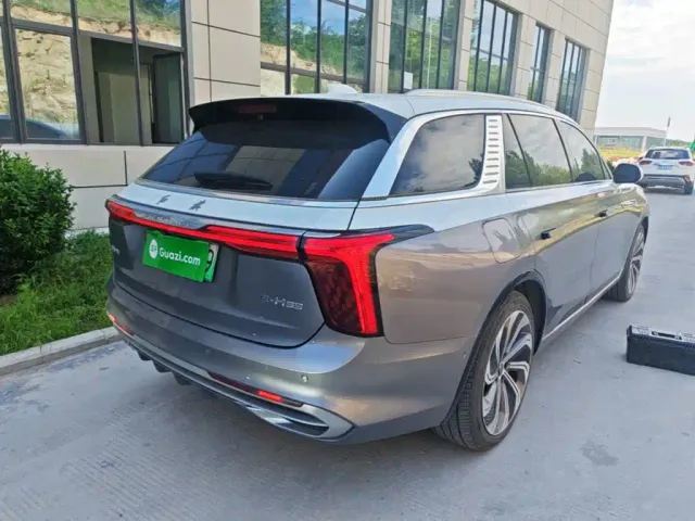 Hongqi E-HS9 — Фото автомобиля 6