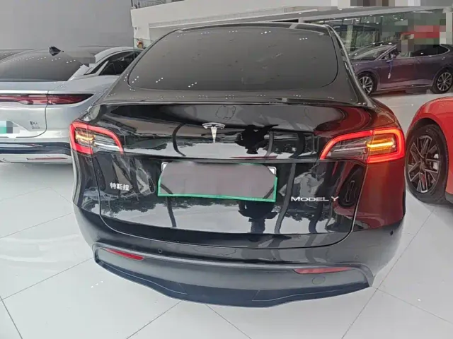 Tesla Model Y — Фото автомобиля 3