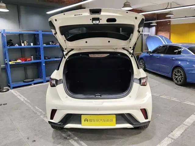 BYD Dolphin — Фото автомобиля 21