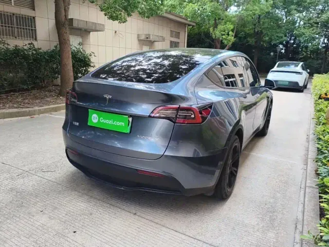 Tesla Model Y — Фото автомобиля 6