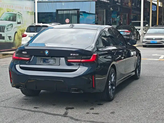 BMW 3 Series — Фото автомобиля 13